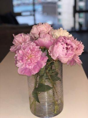 photo of Alexandra A.