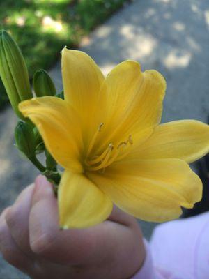 photo of Kimberly M.