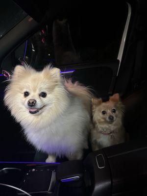 Photo of Princess C.
