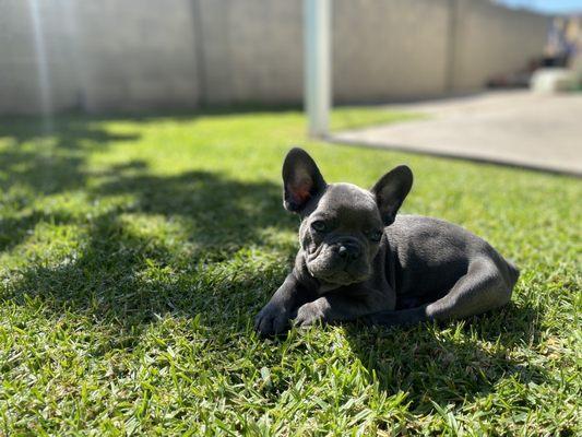 photo of Christian H.