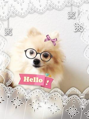 Photo of Hime C.
