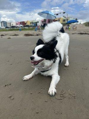 photo of Victoria R.