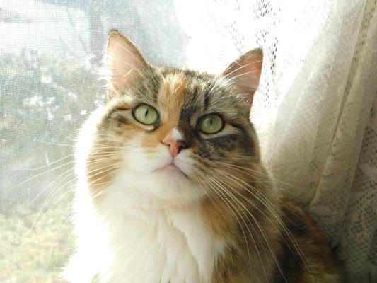 Photo of Valerie K.