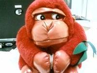 photo of David Iceman L.