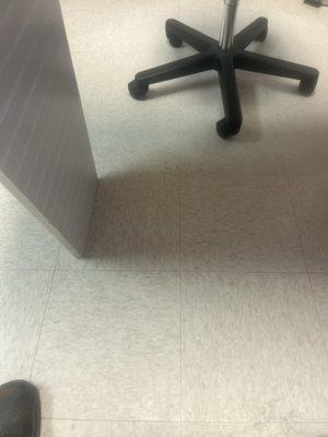 photo of Charlotte H.