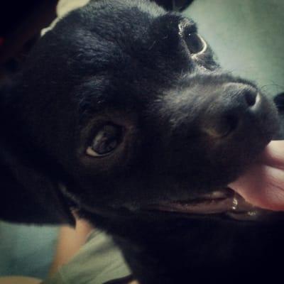 photo of Antonette B.