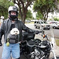 Photo of Mark S.