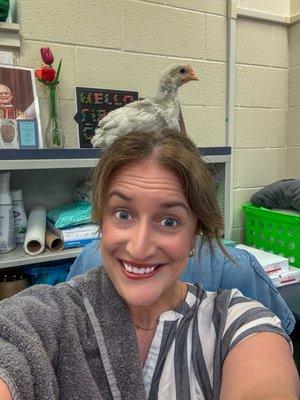 Photo of Missy M.