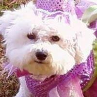 Photo of Nancy A.