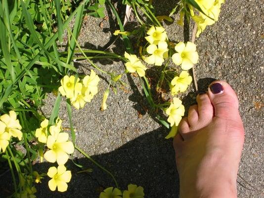 photo of Sunshine G.