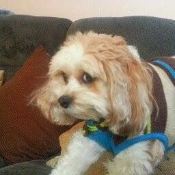 photo of AbbyChad C.