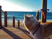 photo of Christian L.