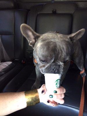 photo of Caraline Y.