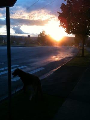 Photo of Charlotte B.