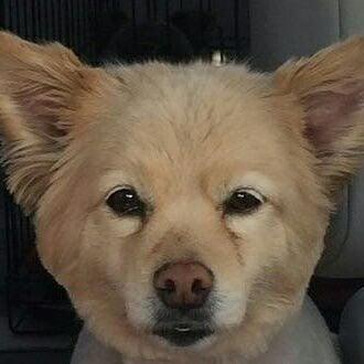 photo of Jennifer N.