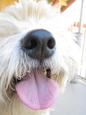 photo of Jennifer P.