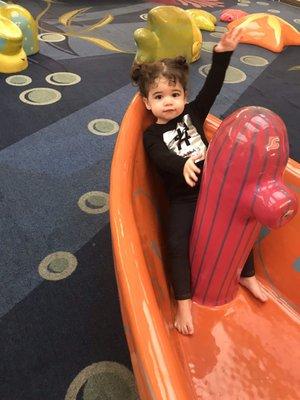 Photo of Ayda M.