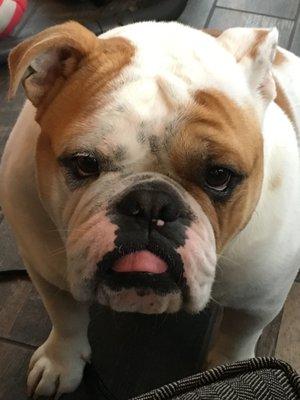 Photo of Booger J.
