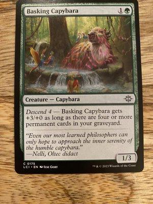 Photo of Megamind S.