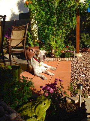 photo of Cookiebear C.