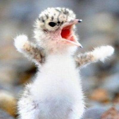 Photo of Kristine C.