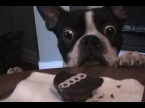 photo of Ron And Yvonne B.