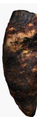 Photo of Cimdy C.