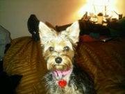 Photo of Bea K.