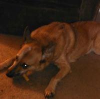 photo of Rachelle G.