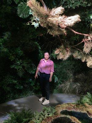 Photo of Amy S.