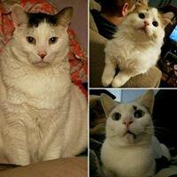 photo of Michelle M.