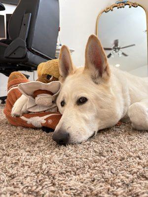 Photo of Sebastian G.