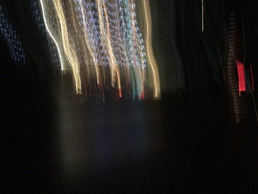 Photo of Danielle M.