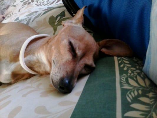 Photo of Cisco S.