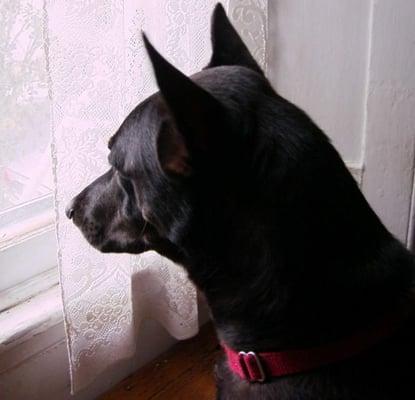Photo of Tina k.