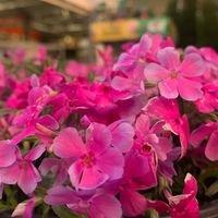 photo of Katherine G.