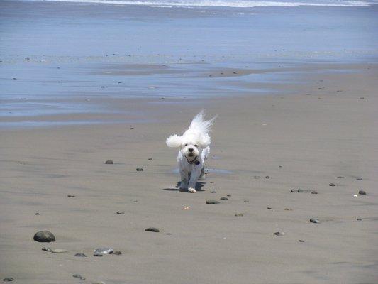 Photo of Millie J.