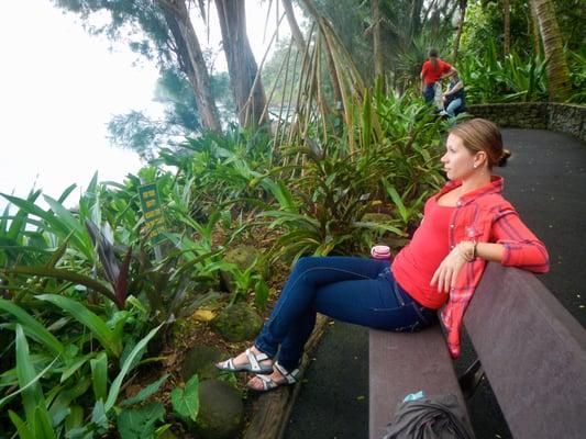 photo of Stephanie S.