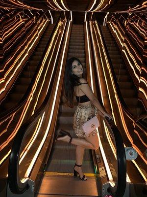 Photo of Saheba N.