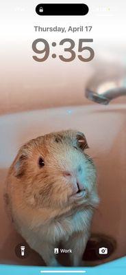 Photo of Corisha J.