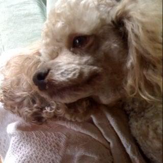 Photo of Suzie S.