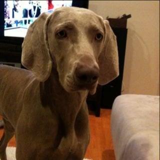 Photo of Penny F.