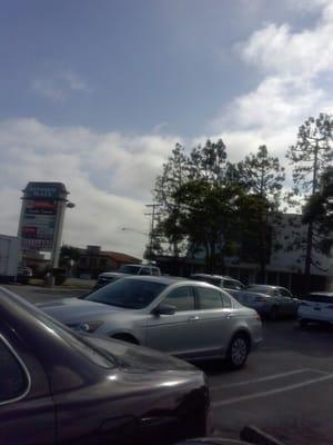 Photo of Marilu J.