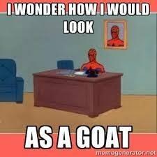 photo of Leighann H.