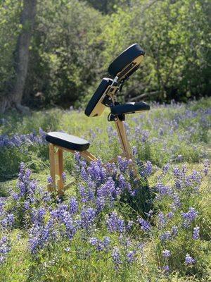 photo of Kaylajean M.