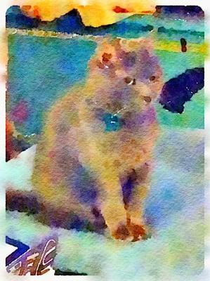 photo of Samantha E.