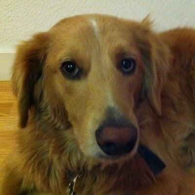 photo of Jennifer M.