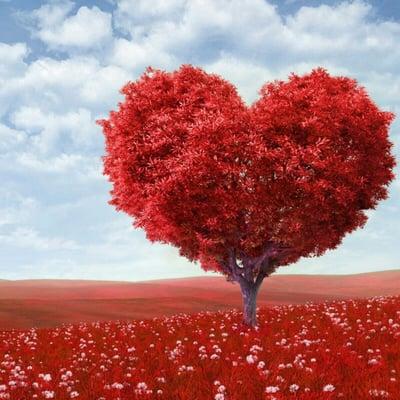 photo of Shirilan H.