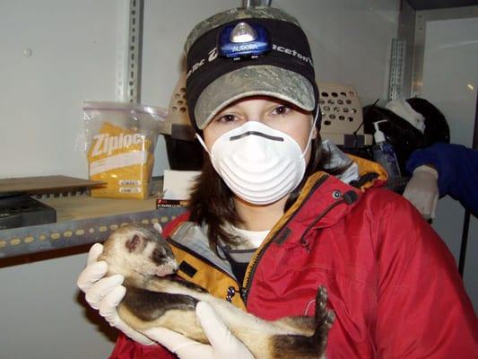 Photo of Suzanne C.