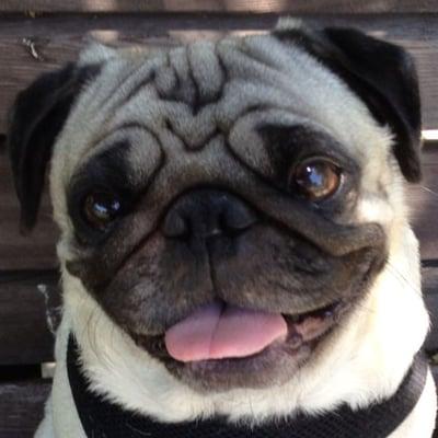 photo of Charlene T.